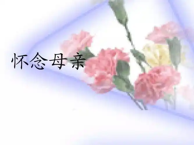 孩儿对妈妈的怀念,妈!您一路走好!