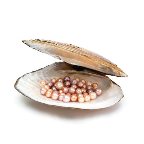 珍珠现场开蚌直播