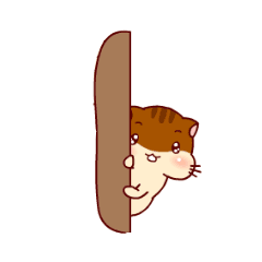 240_240gif 动态图 动图