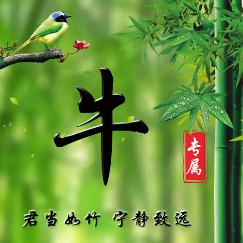 编号2326免费姓氏微信头像竹报平安宁静致远