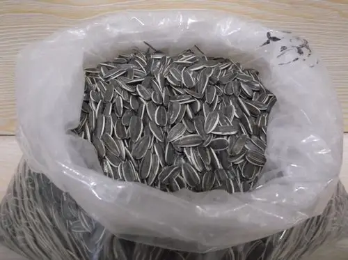 商品详情-奶油黑葵花籽瓜子散装