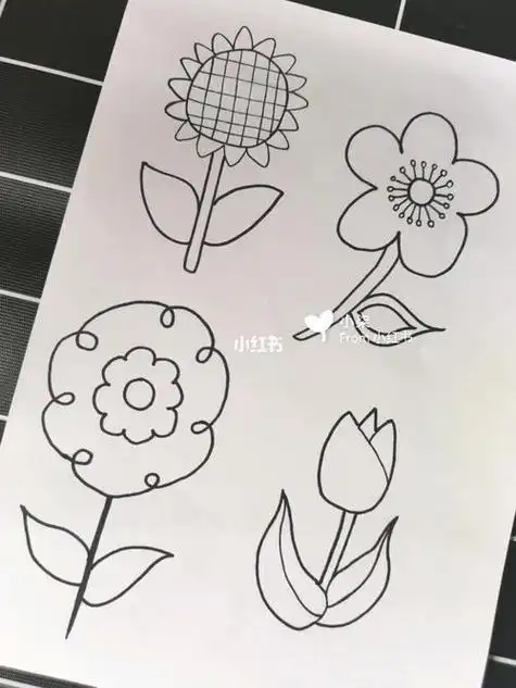 简单又好看百合花简笔画步骤图解手绘百合花的方法各种花简笔画各种花