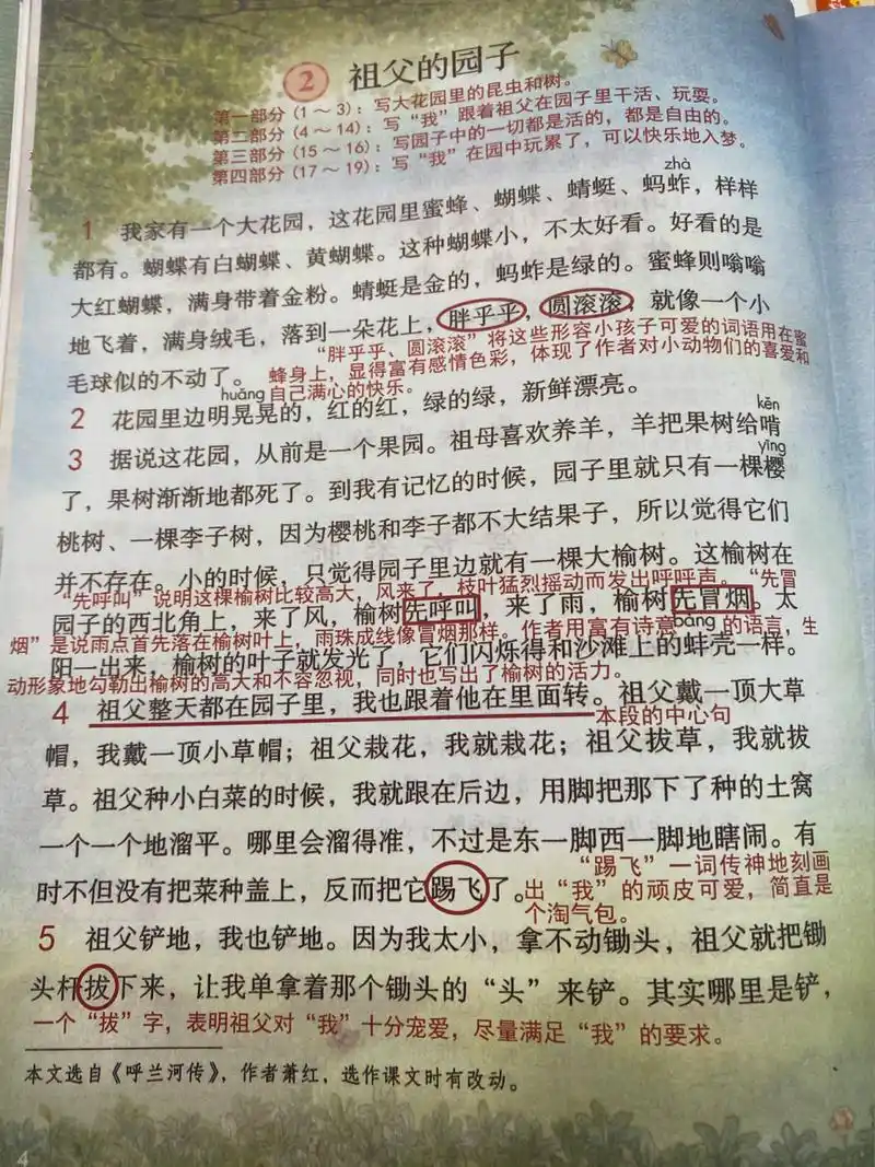 「课堂笔记」五下语文2《祖父的园子》 1,"祖父的园子"是一幅色彩明丽