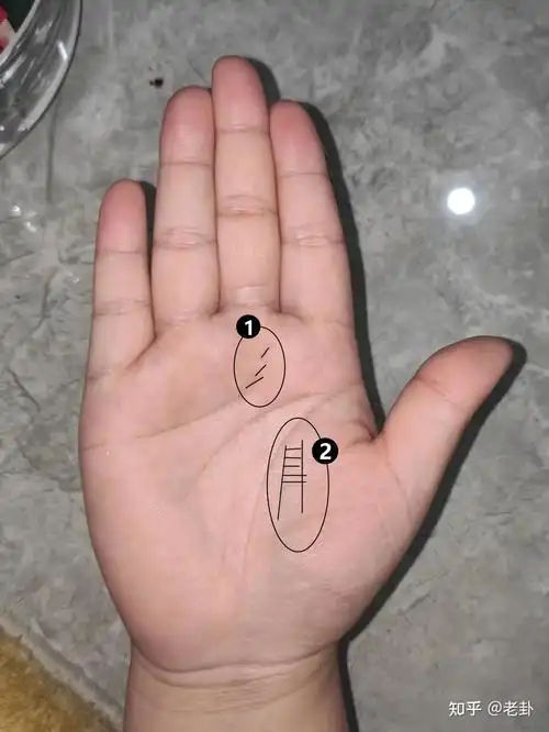 教你看手纹识手相,让你事半功倍