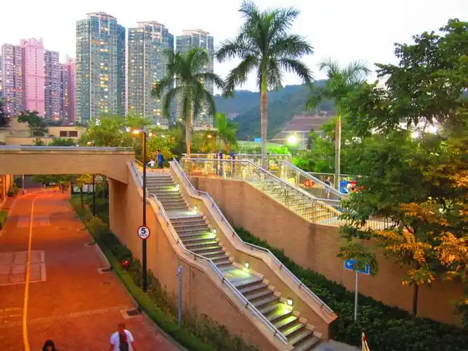 【携程攻略】香港荔枝角公园好玩吗,香港荔枝角公园景点怎么样_点评