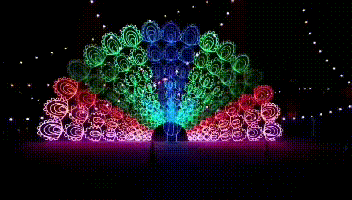 送门票赏9d极光秀尝网红美食看炫酷演出国庆来崇明赴一场浪漫约会吧