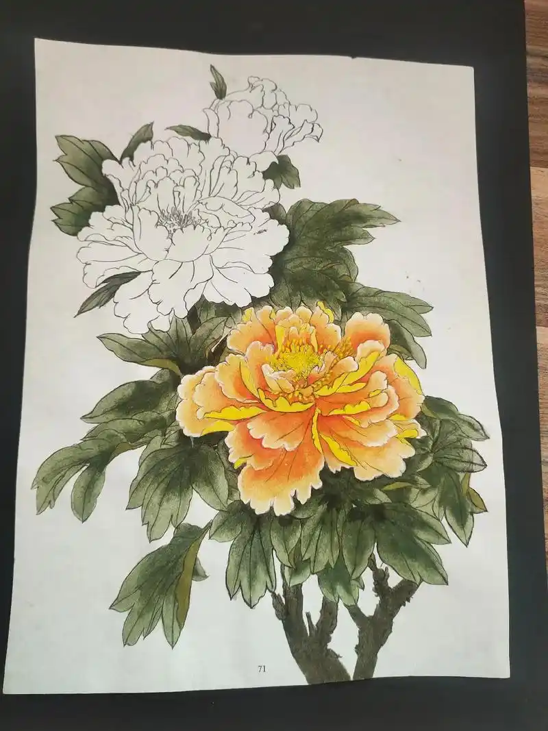 国色天香牡丹花 #感受国画的意境之美 #绘画过程分享 #春 - 抖音