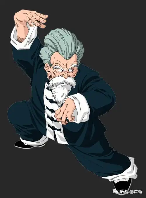 龙珠壁纸龟仙人专辑武道之神