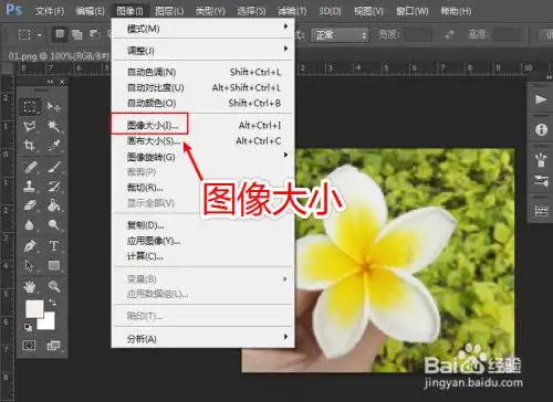 照片怎么缩小尺寸
