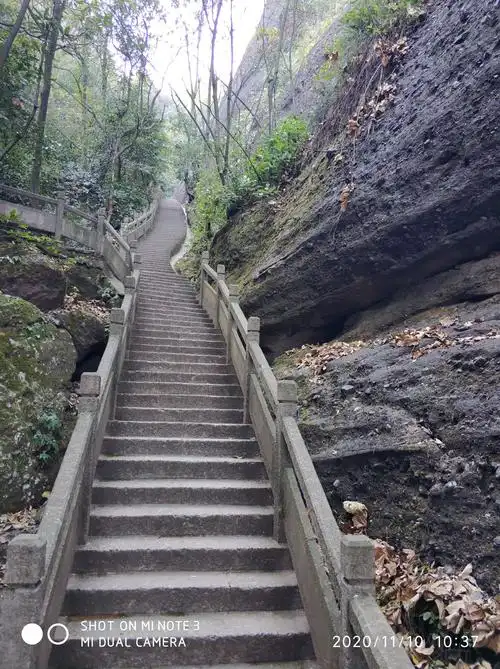 看看这望不到头的登山台阶,听说到山顶起码有还要走1500多级.