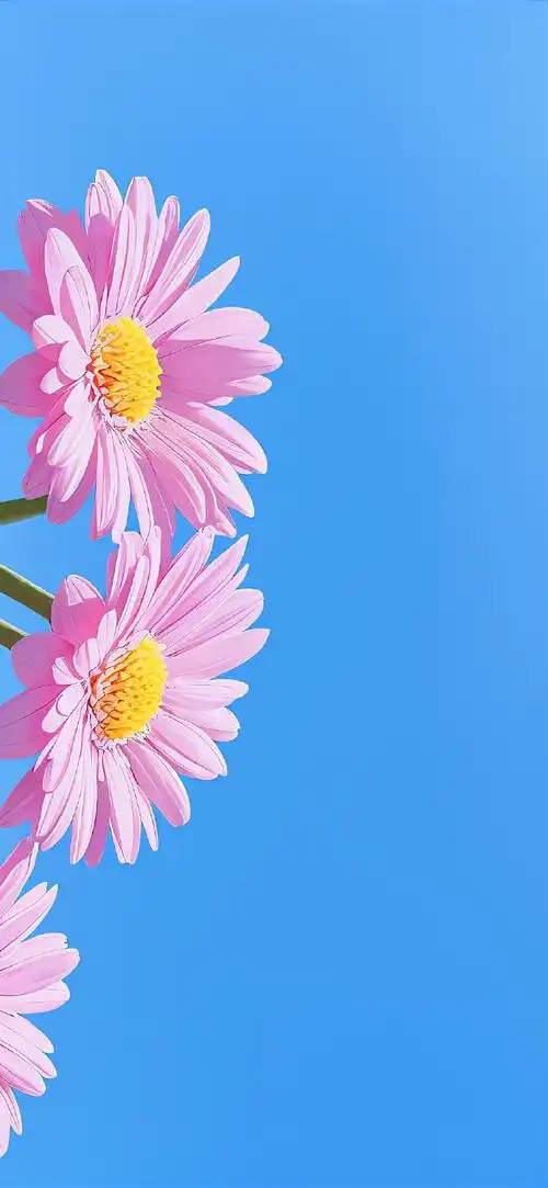 壁纸 花 桌面 690_1494 竖版 竖屏 手机