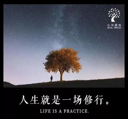 世间真正的高手,都把红尘当成了最好的修行_人生