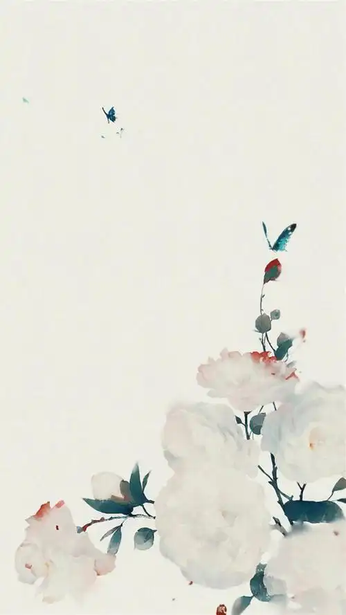 中国风插画合集