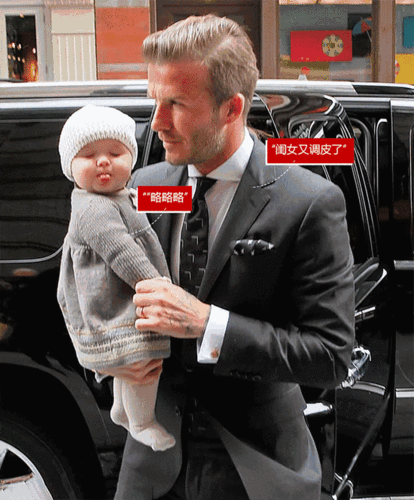 当属上辈子拯救了世界走路不用脚的小七的爹-小贝作为已退役的全球最