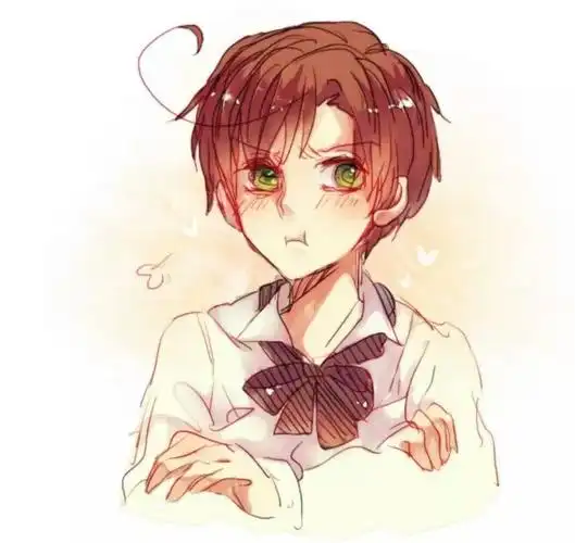 黑塔利亚 aph 子分 罗维诺瓦尔加斯 气呼呼的小番茄也很可爱哇!