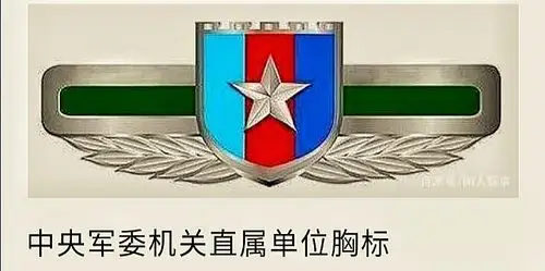 "15式"新式胸标