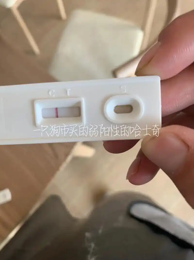 很多朋友在狗市购买小狗后会遇到星期狗出现拉稀,拉血 - 抖音