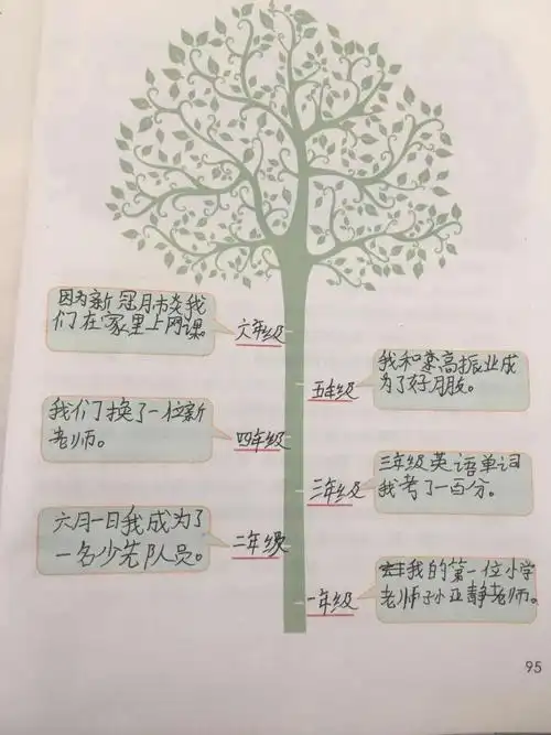 光华道小学六(1)班3组时间轴