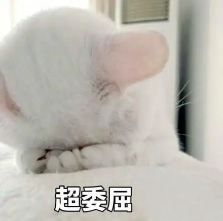 喵星人:超委屈_喵星人_委屈表情