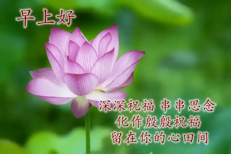 早安最新图片  2022早上好最火图片图片