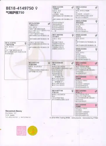 唐山开尔鸽业 - 中信网铭鸽展厅 www.ag188.com