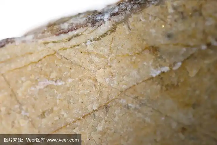 光镜下泥灰岩矿物样品