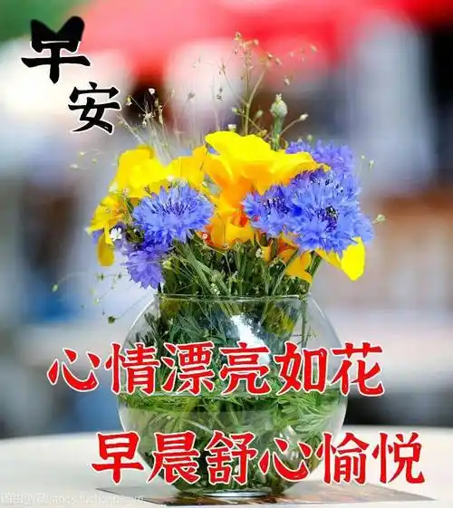 10月5日最漂亮早上好动态表情图片大全早晨好动图美图大全