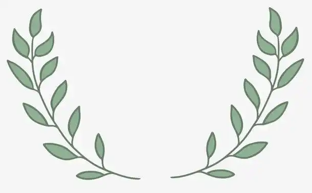 ppt装饰插画绿叶边框