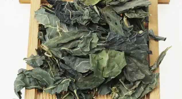 蓼大青叶的图片_中华康网