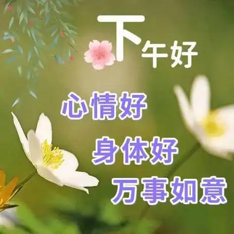 下午好图片大全,下午好祝福,祝顺心如意|快乐|甜蜜|灿烂|幸福_网易
