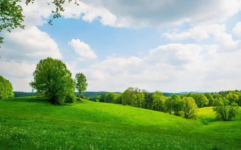 绿地壁纸于2021-05-13上传元气壁纸平台,一片绿地壁纸是一款电脑壁纸