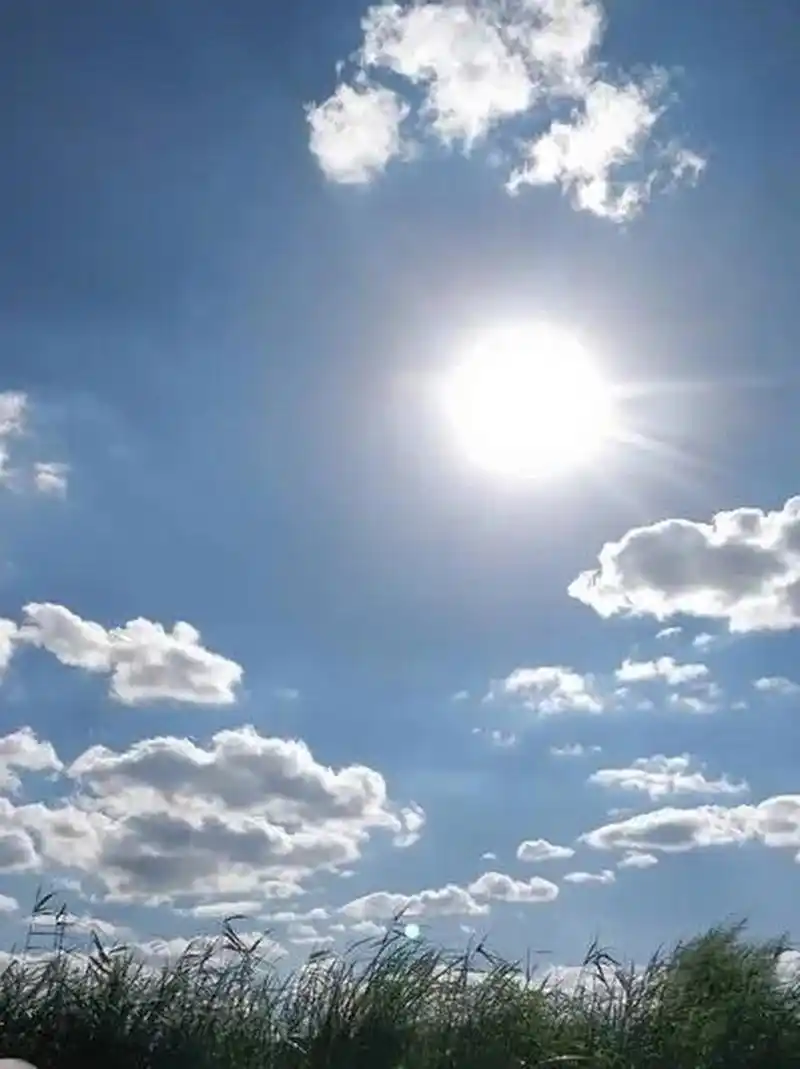 大暑如期而至  今日大暑,炎热的的气息弥漫在空气中,火红的太阳高悬于