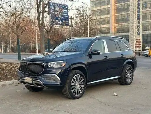 24款奔驰gls600乐享假期230万起售