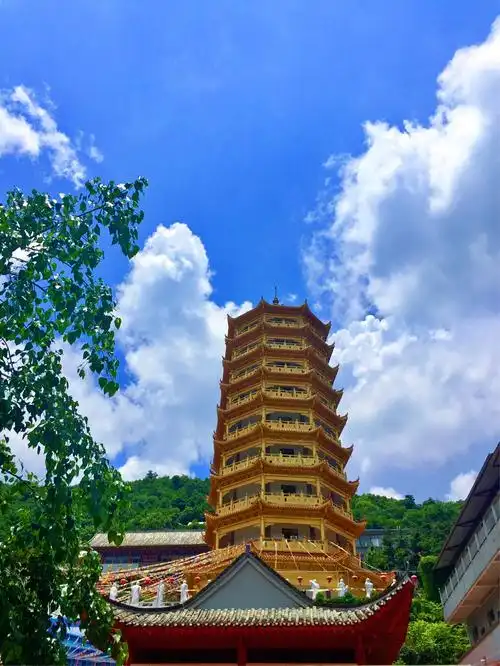 舍利开智养生·惠州明珠禅寺