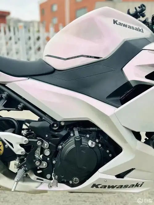 21年川崎ninja400_综合社区_易车社区