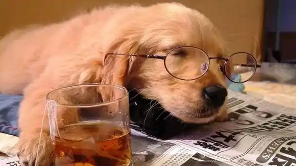 身体不在状态的图片,最近不在状态的心情图片-图片大观-奇异网