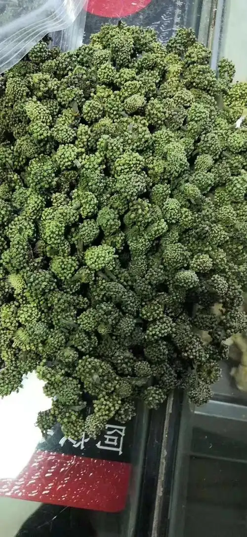 中药材三七花批发价格