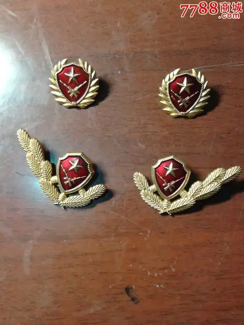 武*士兵冬夏常服领花-价格:60元-se22989159-老肩章/领章/领花-零售