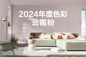 2024年度色彩云霞粉