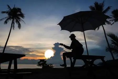在海滩上,蓝蓝的天空日出弹吉他的男人照片