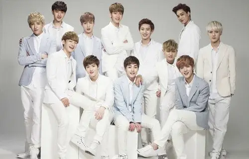 请帮忙把一张exo全体照片改为小说封面可用的像素(照片可自己选,要