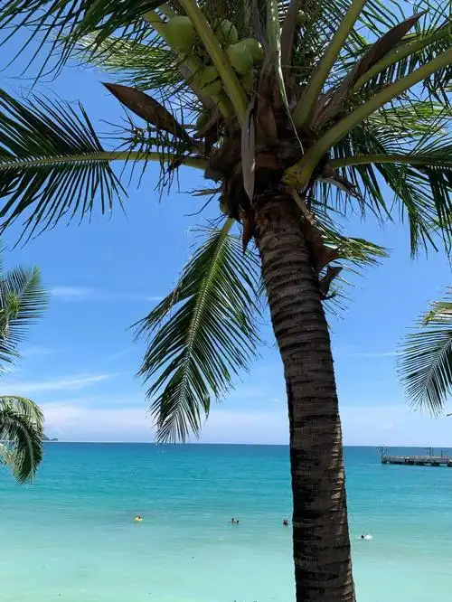 三亚真实测评原图无滤镜大东海的玻璃海