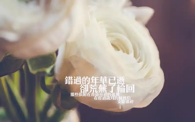 伤感心情文字壁纸,高清图片,电脑桌面-壁纸族