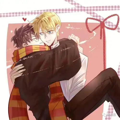 欢迎补充#德哈  #双子  #哈迷  #德赫  #罗赫  #斯莉  #塞秋