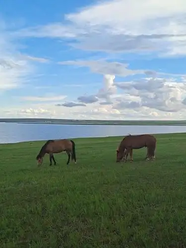 呼伦贝尔大草原 阿尔山 - 美篇