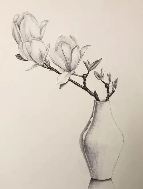 怎样画素描画初学者初学者素描画怎么画