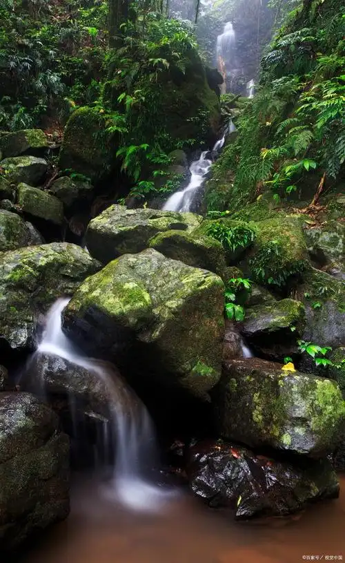 山谷中弥漫着一股清新的气息,仿佛是大自然赋予我们的馈赠.