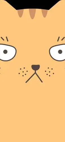 iphone xs刘海壁纸