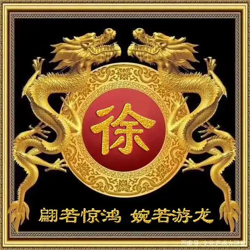 【编号1497】龙霸天下,30个姓氏-微信头像,百家姓氏微信头像,名字壁纸