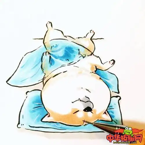 小狗简笔画图片大全,可爱q版柴犬简笔画图片